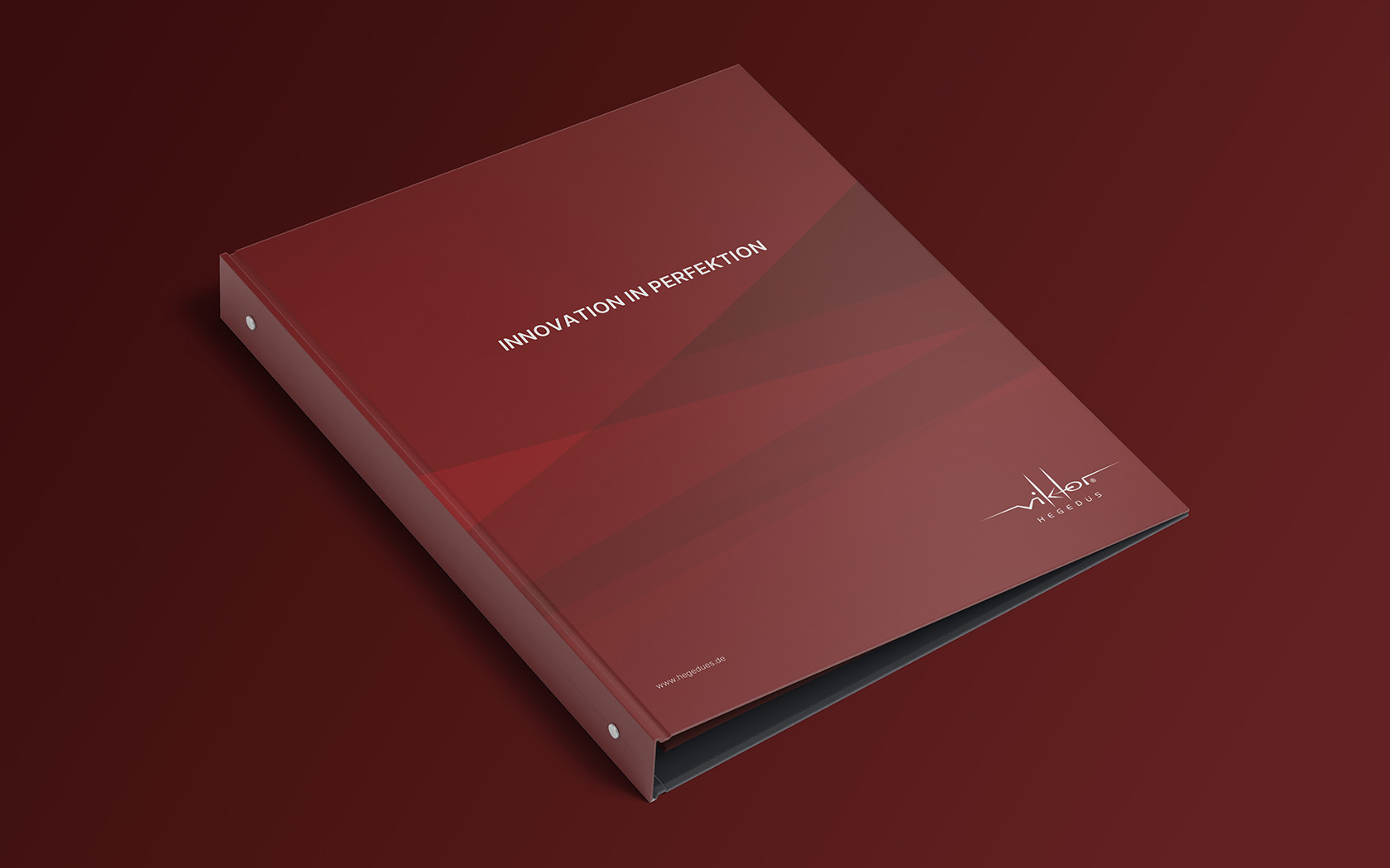 Resch & Partner Online Rems-Murr-Kreis, Projekt: Hegedüs Kompendium