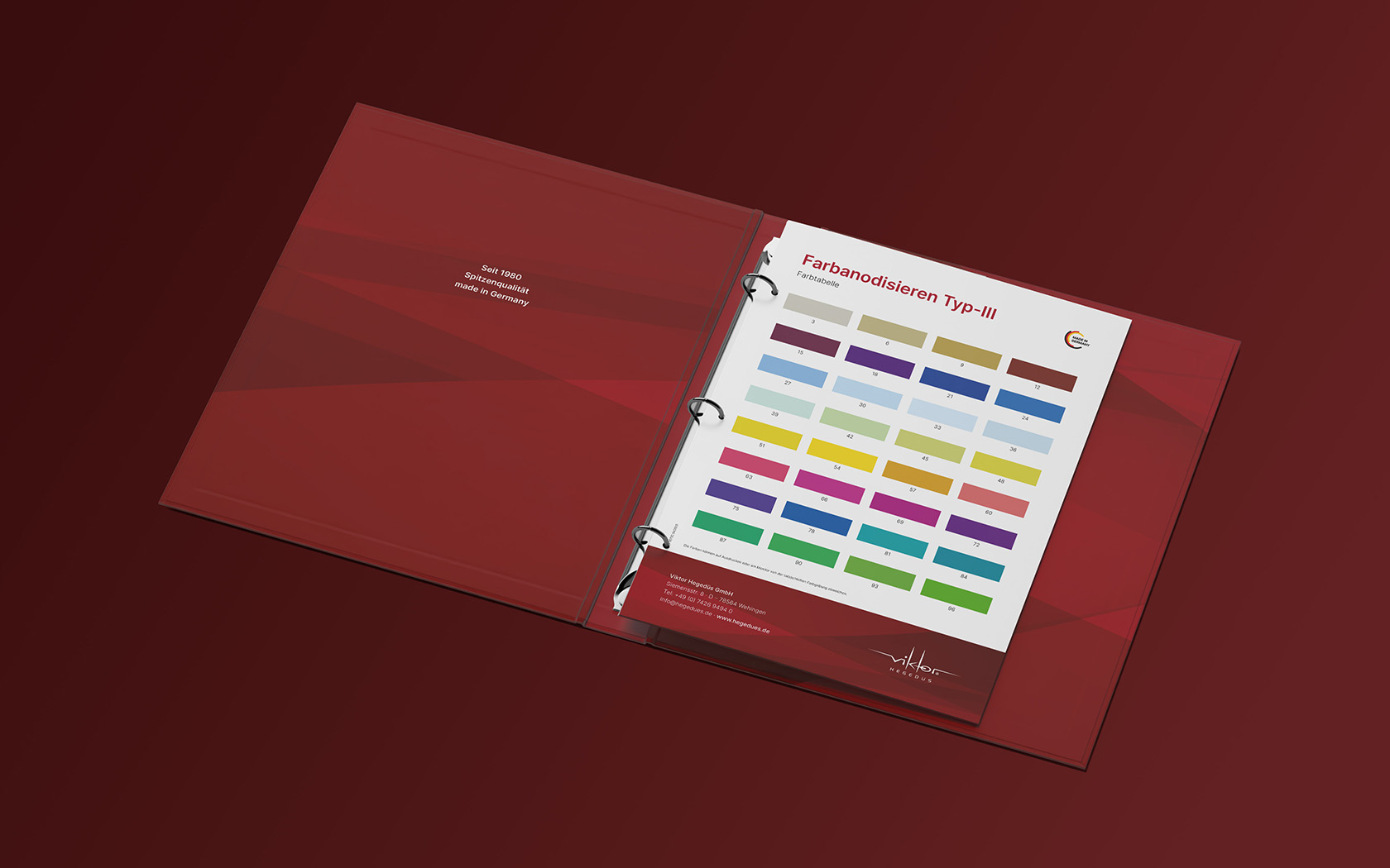 Resch & Partner Online Rems-Murr-Kreis, Projekt: Hegedüs Kompendium