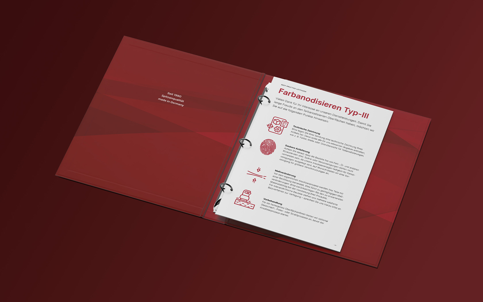 Resch & Partner Online Rems-Murr-Kreis, Projekt: Hegedüs Kompendium