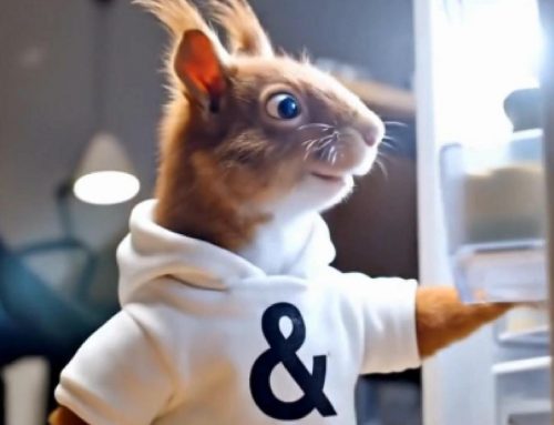 Ady’s Eichhörnchen-Reflexe