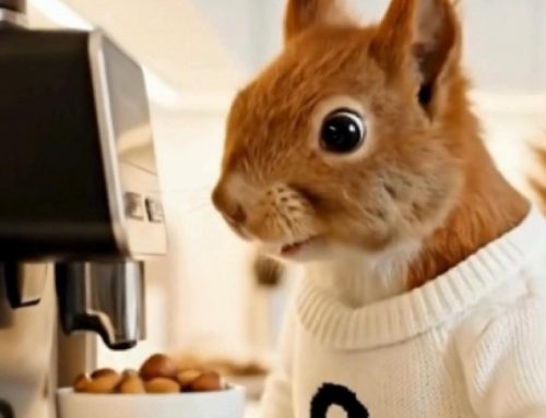 Ady macht “Kaffee” …