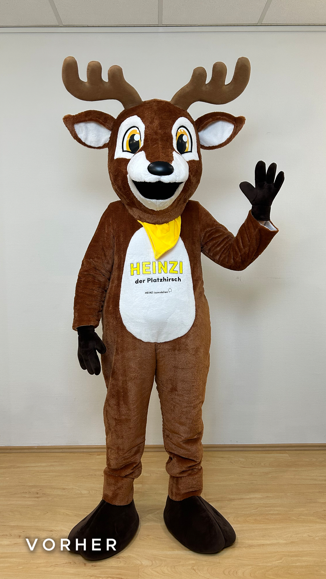 heinz-heinzi-ki-vorher-2